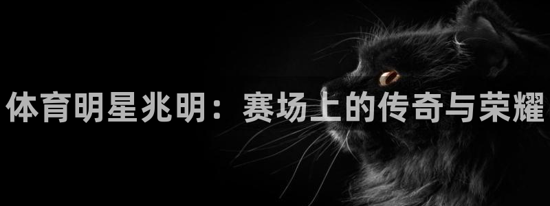 米兰体育官方集团官网：体育明星兆明：赛场上的传奇与荣