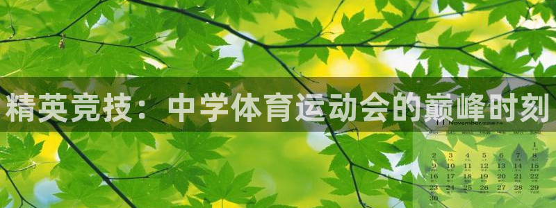 米兰体育官网下载平台是正规平台吗：精英竞技：中学体育