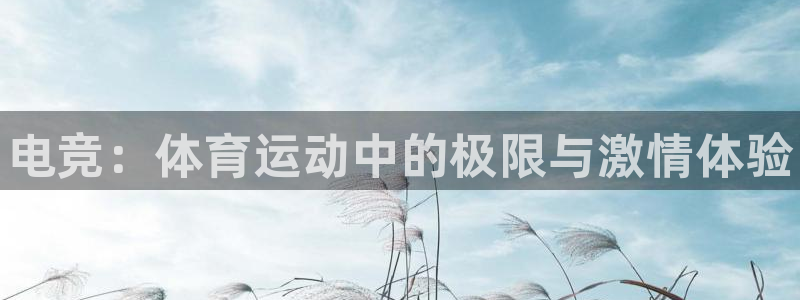 米兰体育官方正版app官方