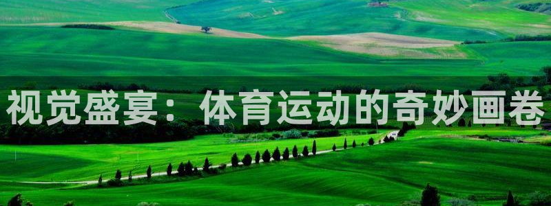 注册米兰体育官方正版app：视觉盛宴：体育运动的奇妙
