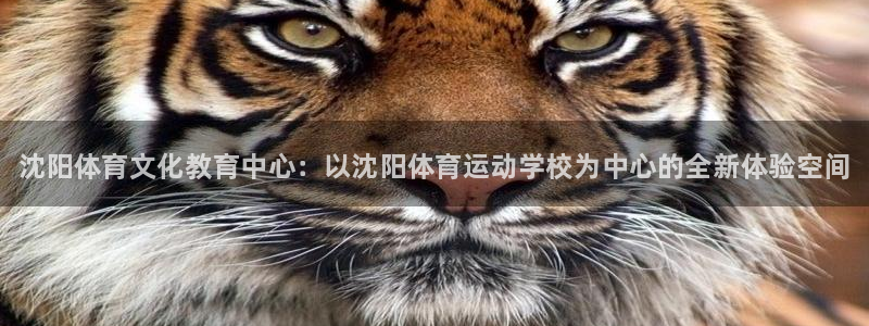 米兰体育官网下载招商电话是多少啊：沈阳体育文化教育中