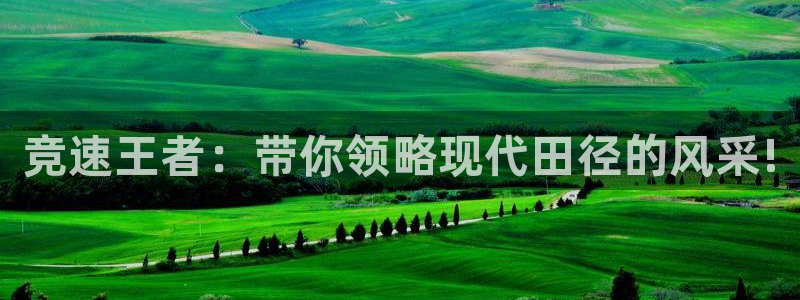 米兰体育官方正版app娱乐首页网站大全：竞速王者：带