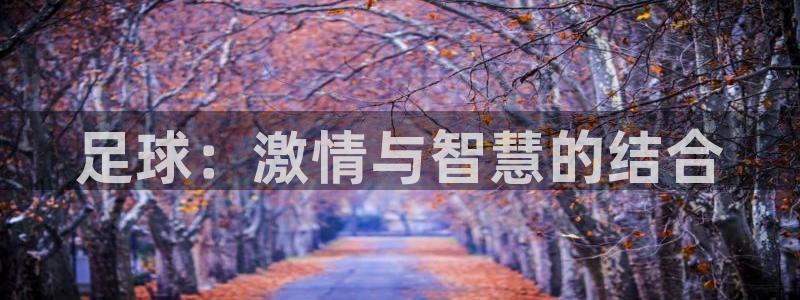 米兰体育官网下载平台是正规平台吗：足球：激情与智慧的