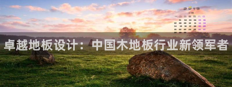 米兰体育官网下载平台注册流程视频：卓越地板设计：中国
