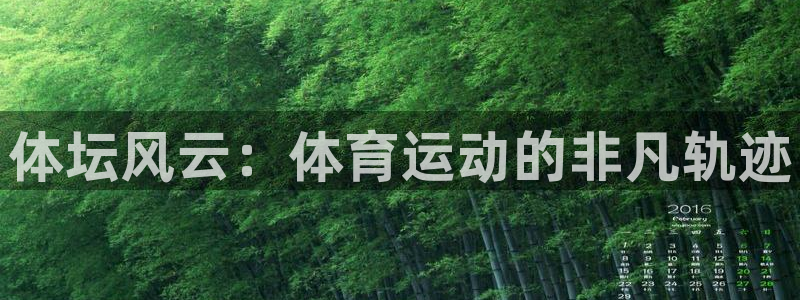 注册米兰体育官方正版app：体坛风云：体育运动的非凡