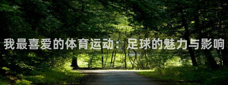 米兰体育官方正版app娱乐首页网站大全：我最喜爱的体