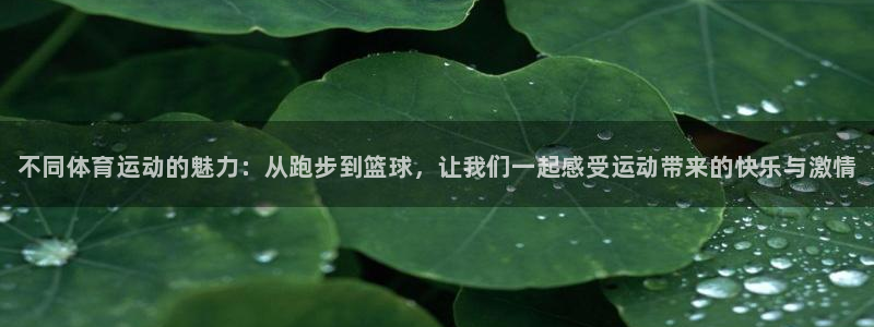 米兰体育官方正版app代理：不同体育运动的魅力：从跑步到篮球