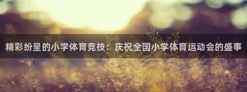 米兰体育官网下载平台：精彩纷呈的小学体育竞技：庆祝全国小学体