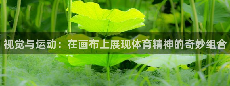 米兰体育官网下载是干嘛的公司：视觉与运动：在画布上展