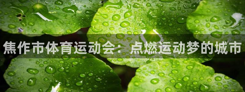 米兰体育官方正版app集团logo：焦作市体育运动会