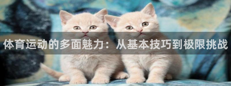 德国米兰体育官方正版app集团：体育运动的多面魅力：从基本技