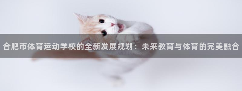 德国米兰体育官方正版app集团：合肥市体育运动学校的