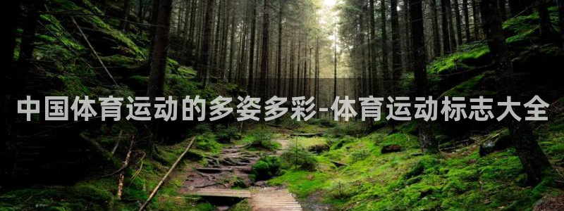 米兰体育官网下载平台注册要钱吗安全吗：中国体育运动的多姿多彩