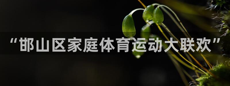 米兰体育官方正版app娱乐：“邯山区家庭体育运动大联