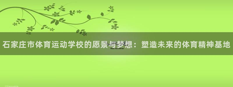 米兰体育官方正版app官网：石家庄市体育运动学校的愿景与梦想