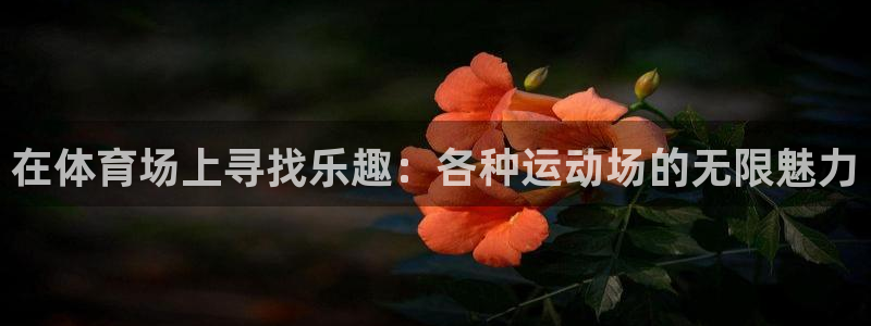 米兰体育官网下载：在体育场上寻找乐趣：各种运动场的无