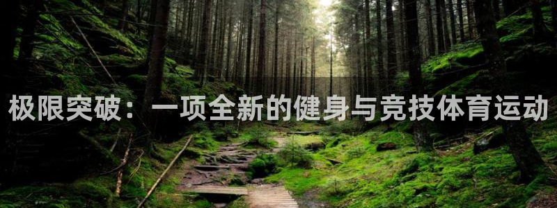 米兰体育官网下载平台注册流程图：极限突破：一项全新的