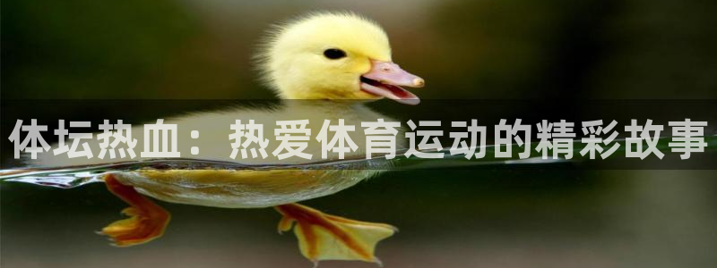 米兰体育官方正版app官网：体坛热血：热爱体育运动的