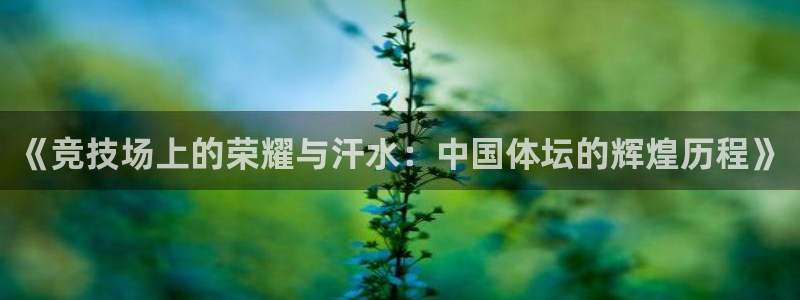 米兰体育官网下载平台注册流程视频：《竞技场上的荣耀与