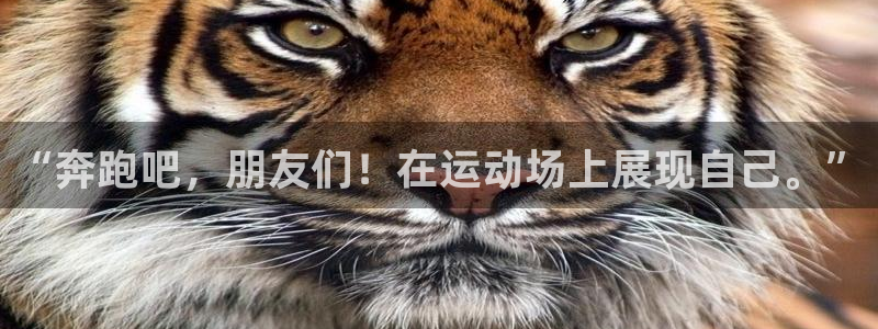 米兰体育官网下载平台APP：“奔跑吧，朋友们！在运动场上展现