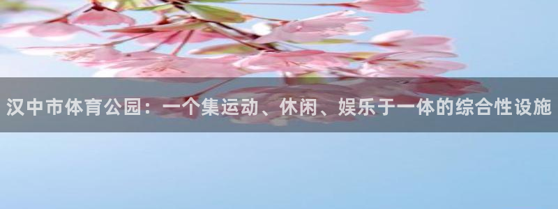 米兰体育人口排名：汉中市体育公园：一个集运动、休闲、娱乐于一