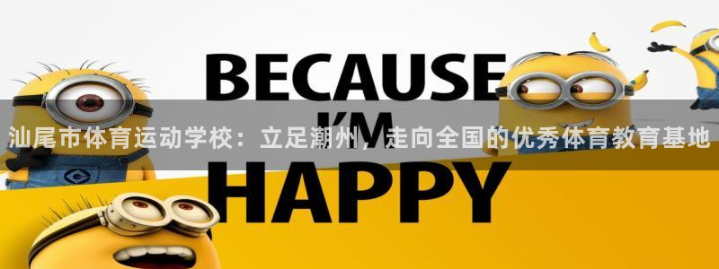 米兰体育场建设计划：汕尾市体育运动学