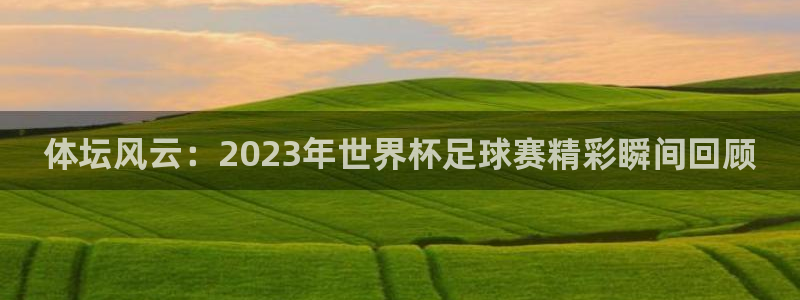 米兰体育出款慢吗：体坛风云：2023