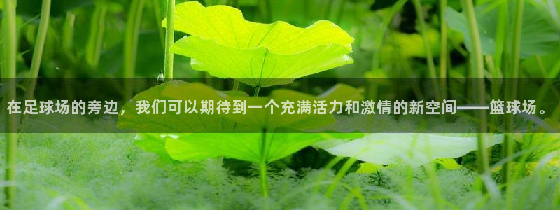 米兰体育报如何订阅：在足球场的旁边，