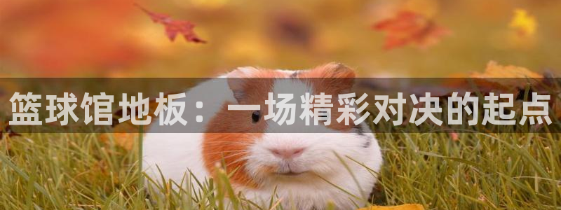  米兰体育官网入口：篮球馆地板：一场精彩对决的起点