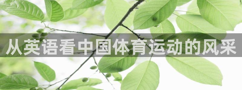 米兰体育人口：从英语看中国体育运动的