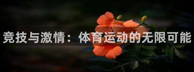  米兰体育黑平台是正规的吗安全吗：竞技与激情：体育运动的无限可