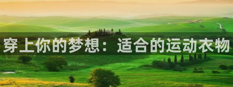 米兰体育入口官网：穿上你的梦想：适合